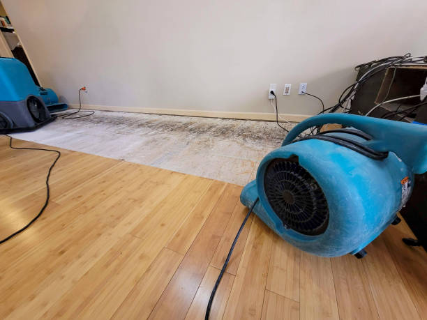 Professional Water Removal technician working in Shannon, GA